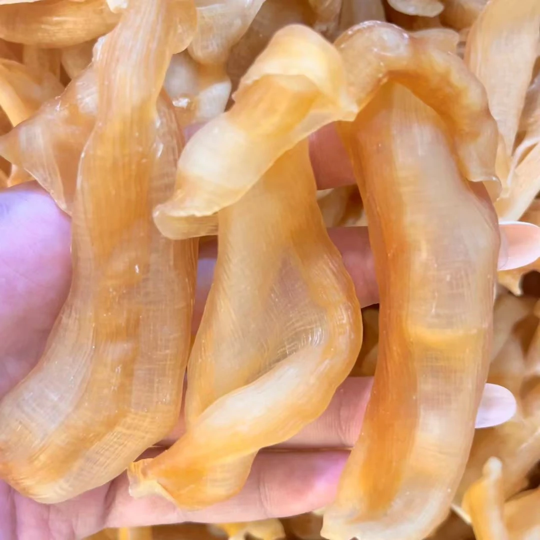 渔民自晒红鳘凤尾胶 炖汤炖奶滋补250g-500g