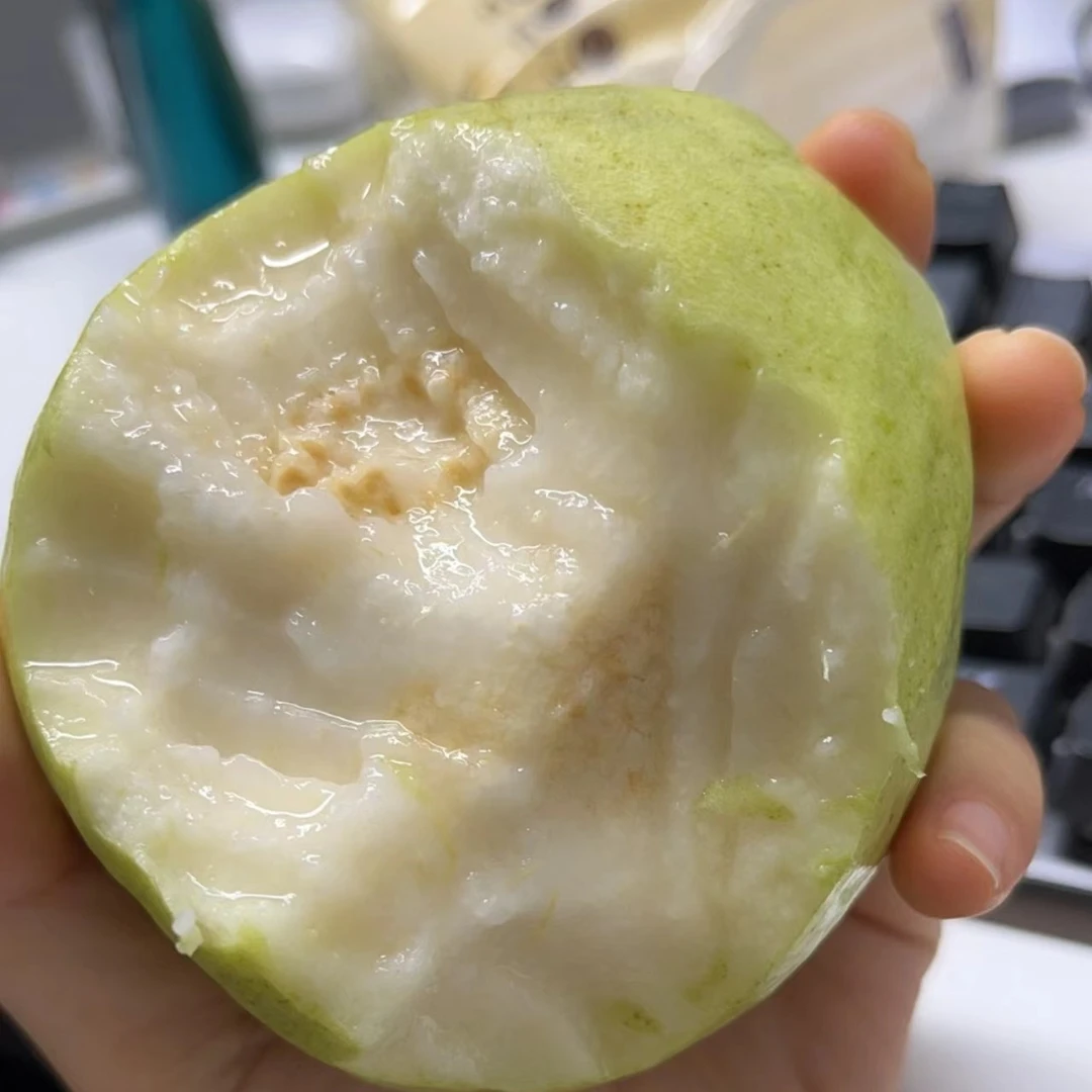 软心白芭乐（约500-600克）