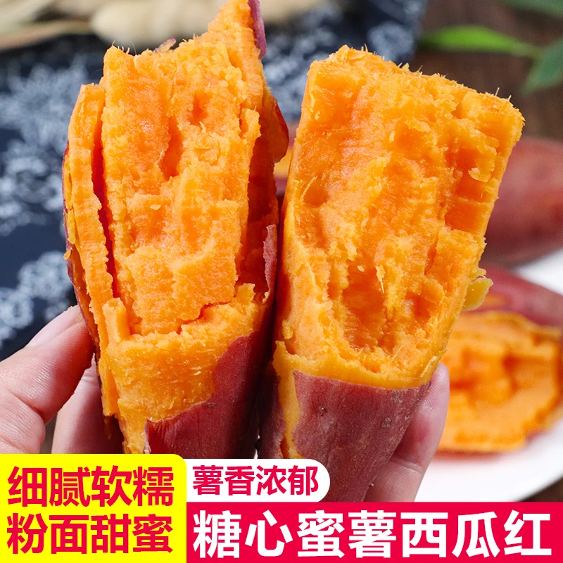 回馈粉丝  2斤新挖西瓜红薯黄心沙地河南粗粮代餐烟薯红心