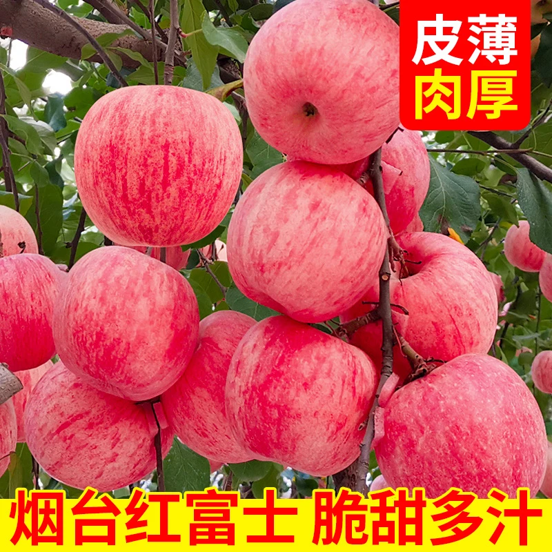烟台红富士苹果水果新鲜整箱当季正宗栖霞礼盒脆甜农多汁