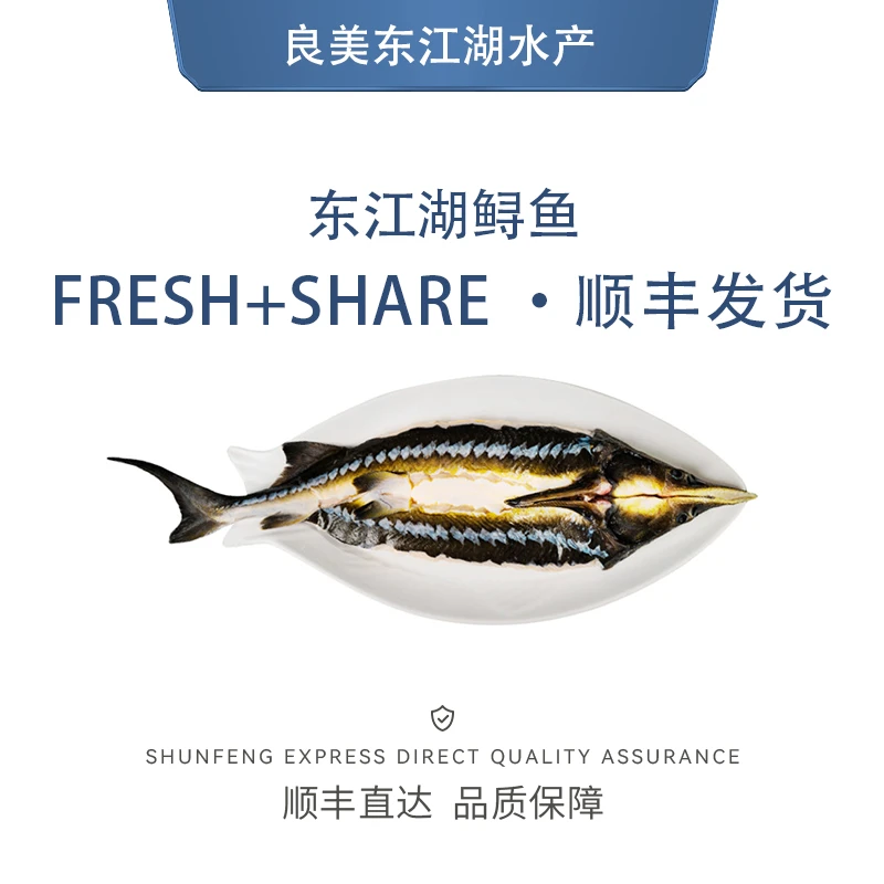 良美东江湖【东江湖优选】新鲜开背鱼通体软骨无刺