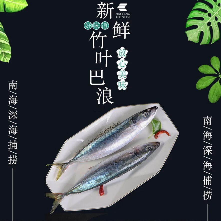 野生海捕竹叶巴浪鱼（池鱼，青占鱼）