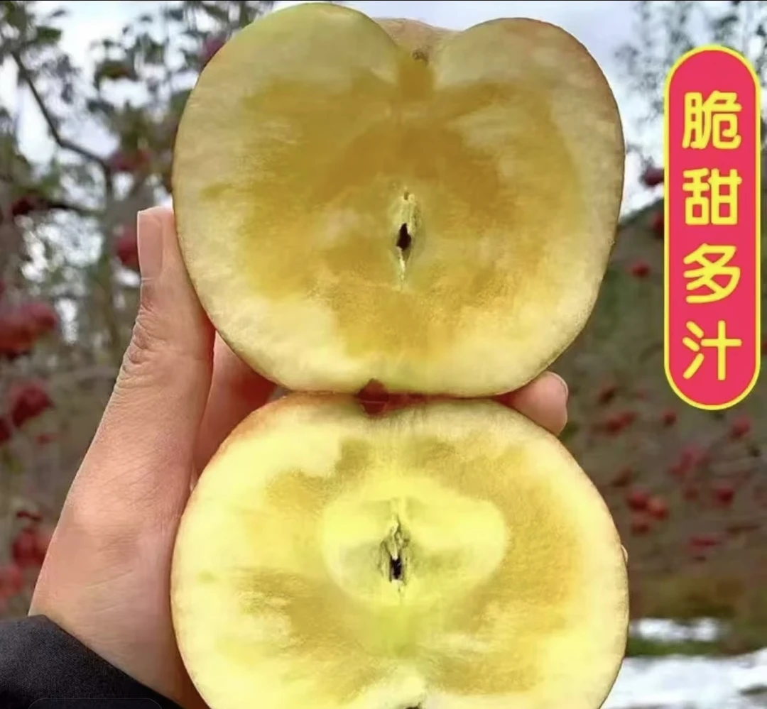 大凉山丑苹果，3斤（外表不好看有小瑕疵，但是不影响好吃）