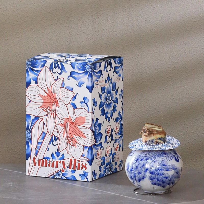 朱顶红【蜡球礼盒装】种球单瓣重瓣花卉室内四季植物庭院花卉植物