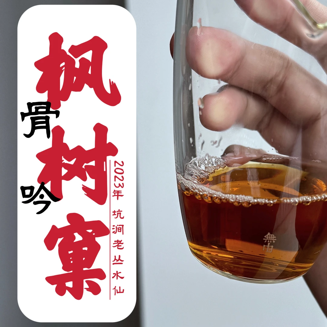 【枫树窠 老丛水仙】骨吟 武夷岩茶 老丛水仙 核心产区