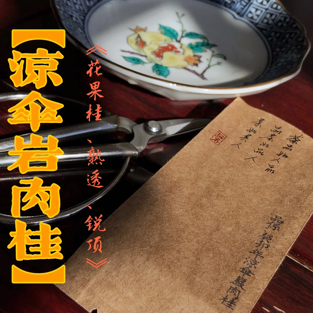 【2025凉伞岩肉桂】果香型 驭岩 武夷岩茶
