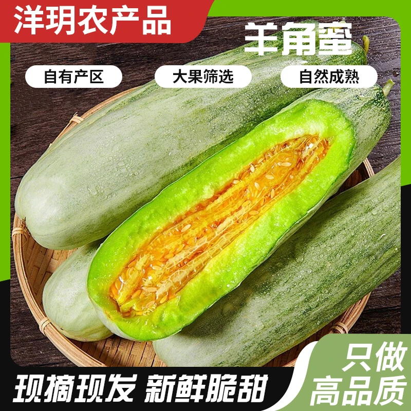 香甜可口博洋61羊角蜜高品质产地种植甘甜新鲜美味包邮味道自然