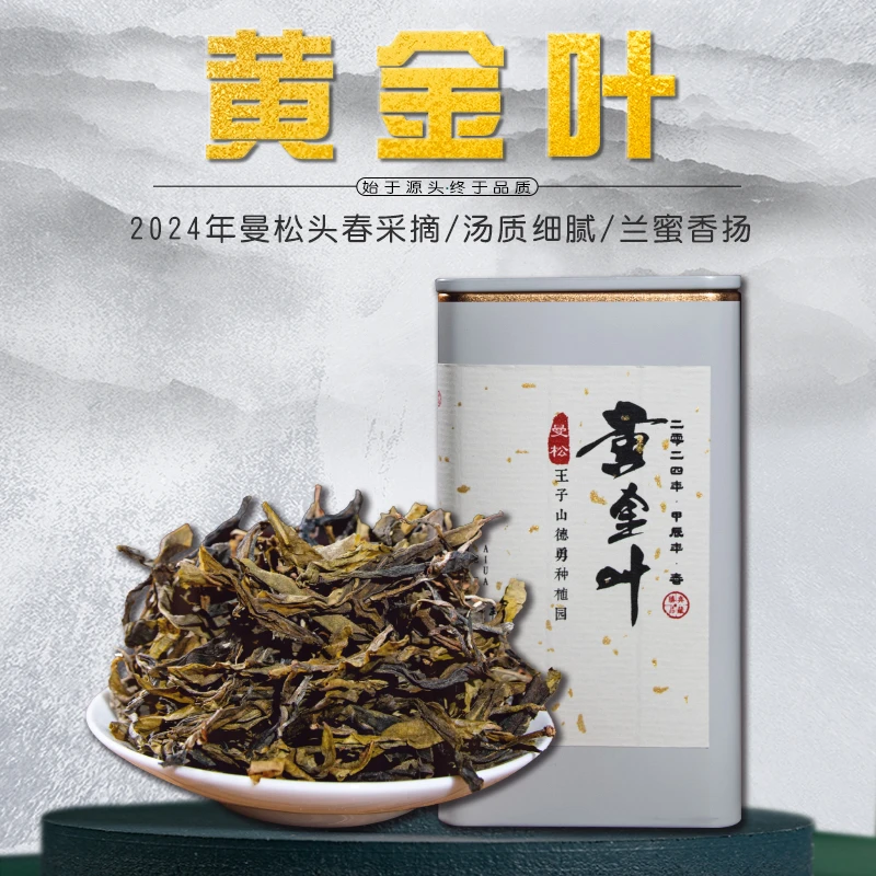 云南普洱茶曼松王子山贡茶黄金叶耐泡大叶种春茶鲜爽高甜茶罐装