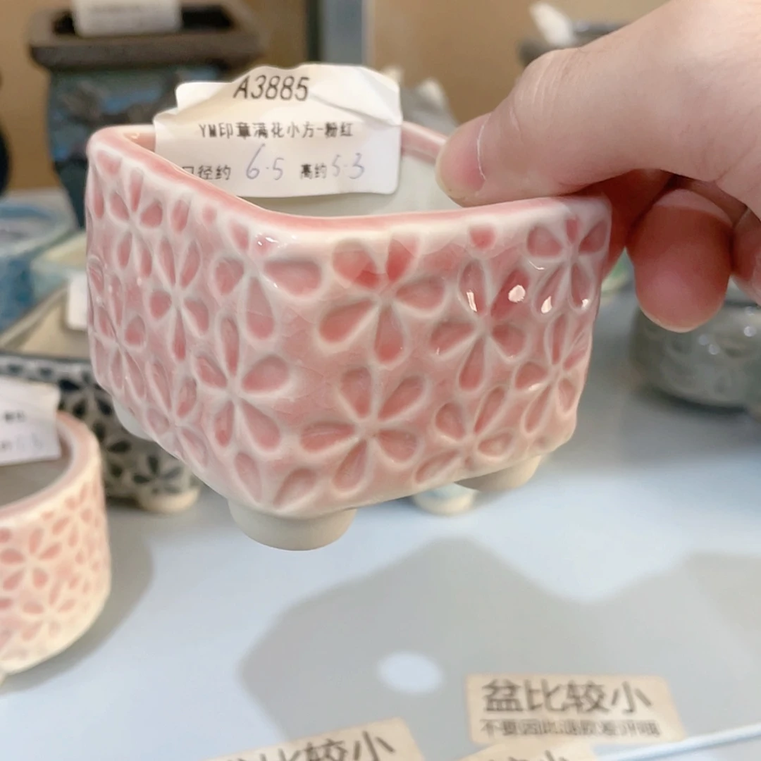 【闪购商品】陶瓷15cm以下@@A3885