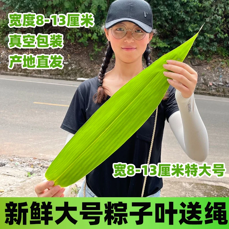 怡知鲜新鲜粽子叶粽叶端午节包粽子专用新鲜粽子叶特大号粽叶送线