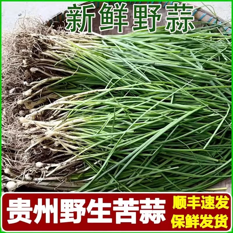 苦蒜新鲜菜深山现挖小根蒜胡葱葱百香葱折耳根野葱菜苦蒜应季小众