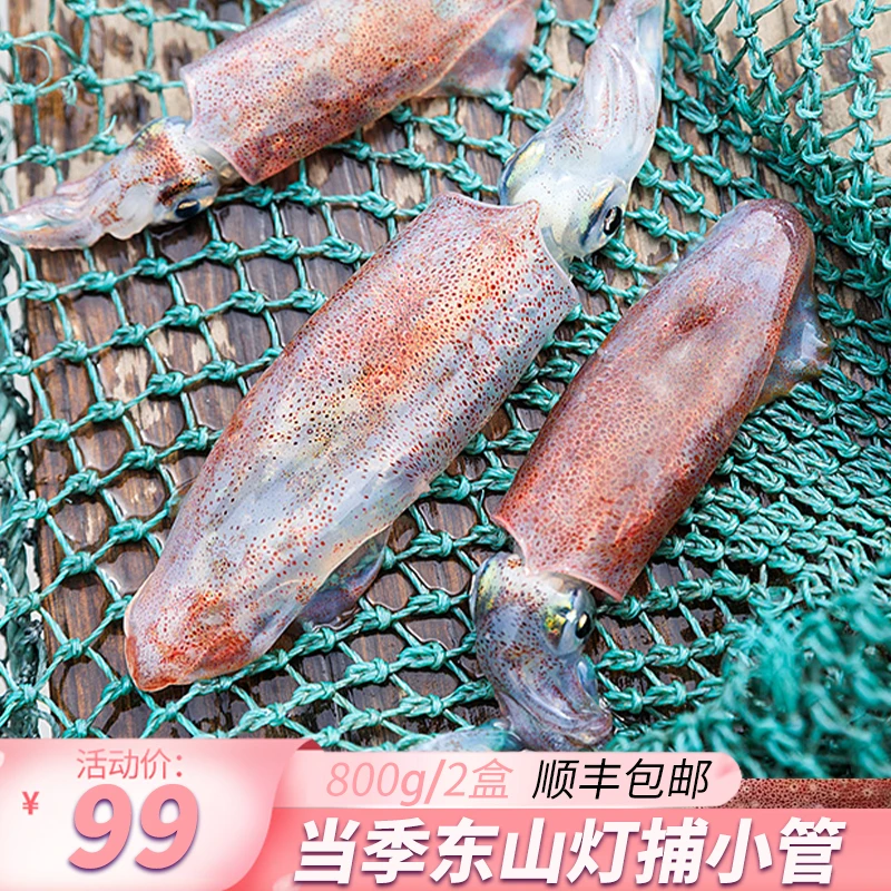 航海猫 东山岛灯捕小管800g 新鲜冷冻海兔子 鱿鱼乌贼海鲜水产