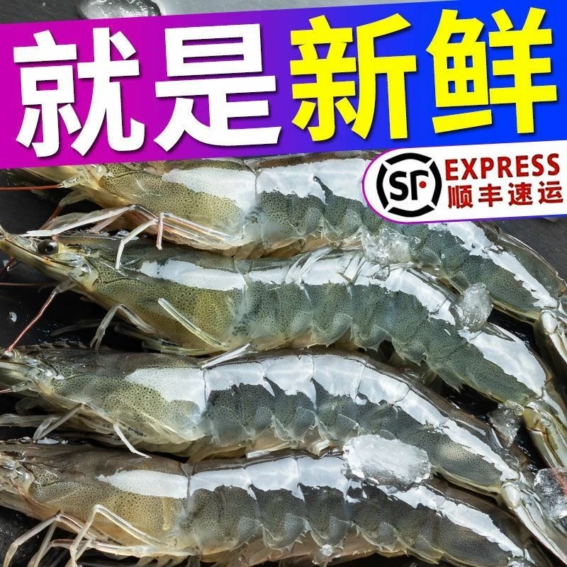 3040海洋大虾活虾速冻只只分分离13-16cm约55-65只毛重4净重3.3斤