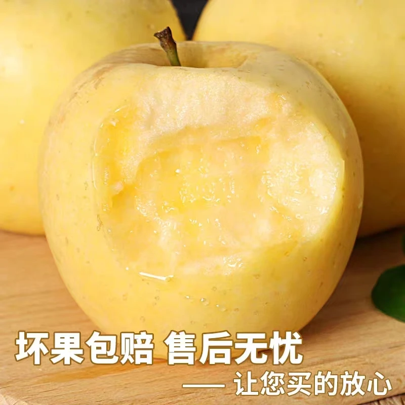 C山东奶油富士苹果4.5/2斤脆甜爽口新鲜饱满肉厚汁水浓郁正宗现摘