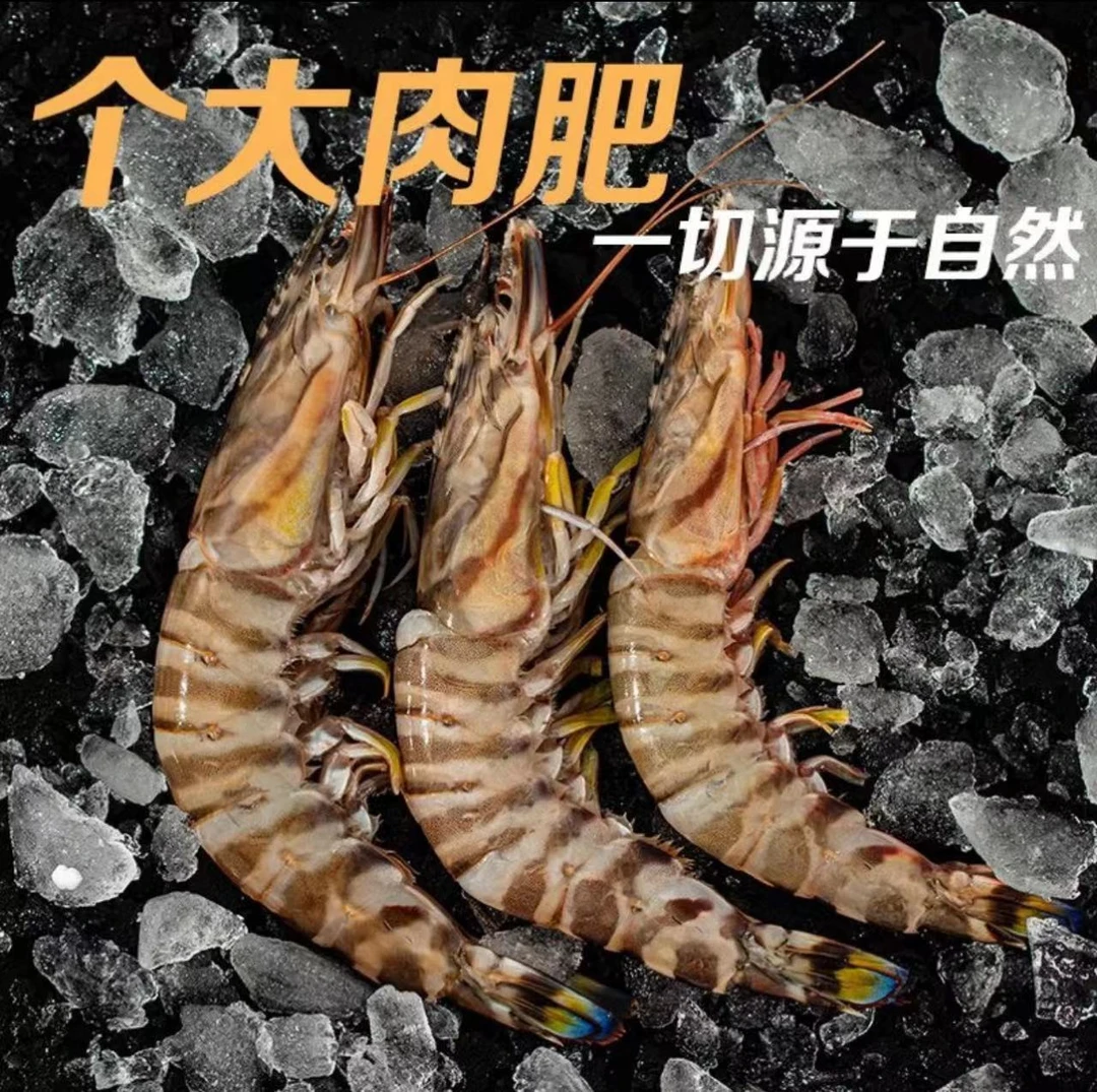 3斤鲜活冻斑节虾毛虎虾海虾新鲜发货