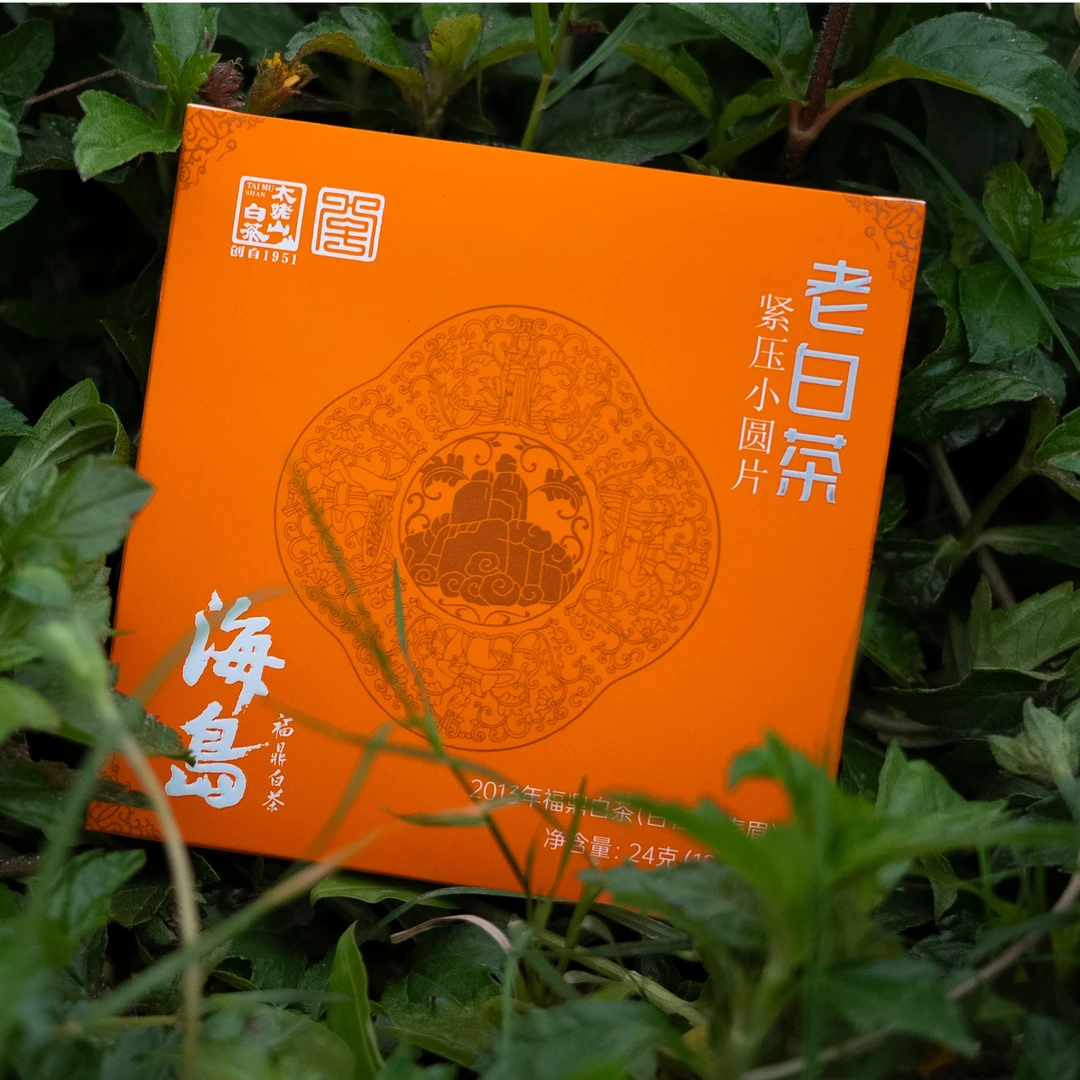 【晚晚专享】TMS/太姥山海岛·9年陈老白茶小圆片24g
