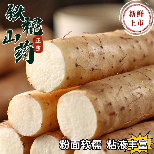 农家发货温县垆土铁棍山药新鲜现挖粉面香甜粘液丰富净重5斤50-60
