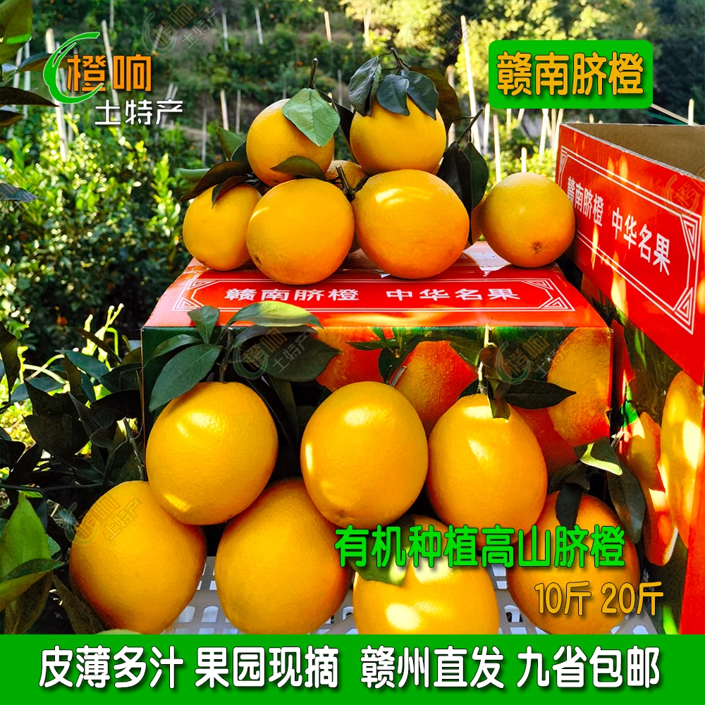 20斤江西赣南脐橙赣州龙勾石灰橙本地果园现摘直供快递直发包邮