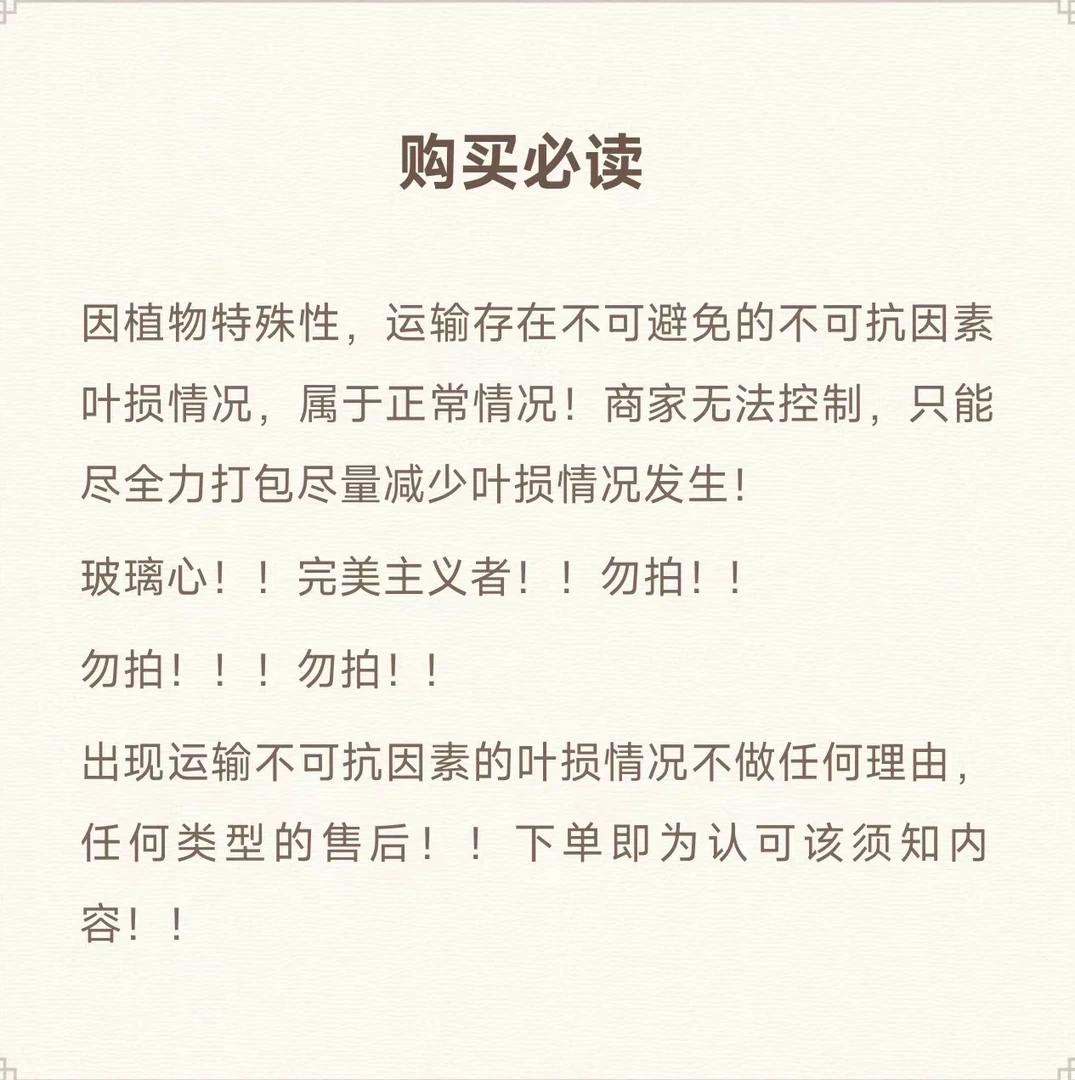 【动力植物】直播间专拍下单看注意事项