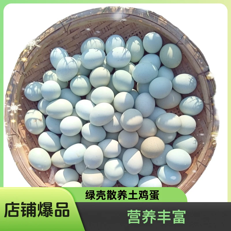 绿壳50枚 新鲜土鸡蛋 农村土鸡蛋 散养土鸡蛋 营养鲜美天然喂养
