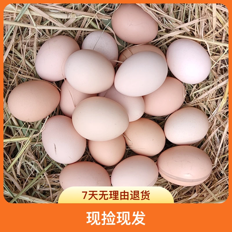 50枚农家散养土鸡蛋 柴鸡蛋 新鲜草鸡蛋 现捡现发 破损包赔【粉壳】