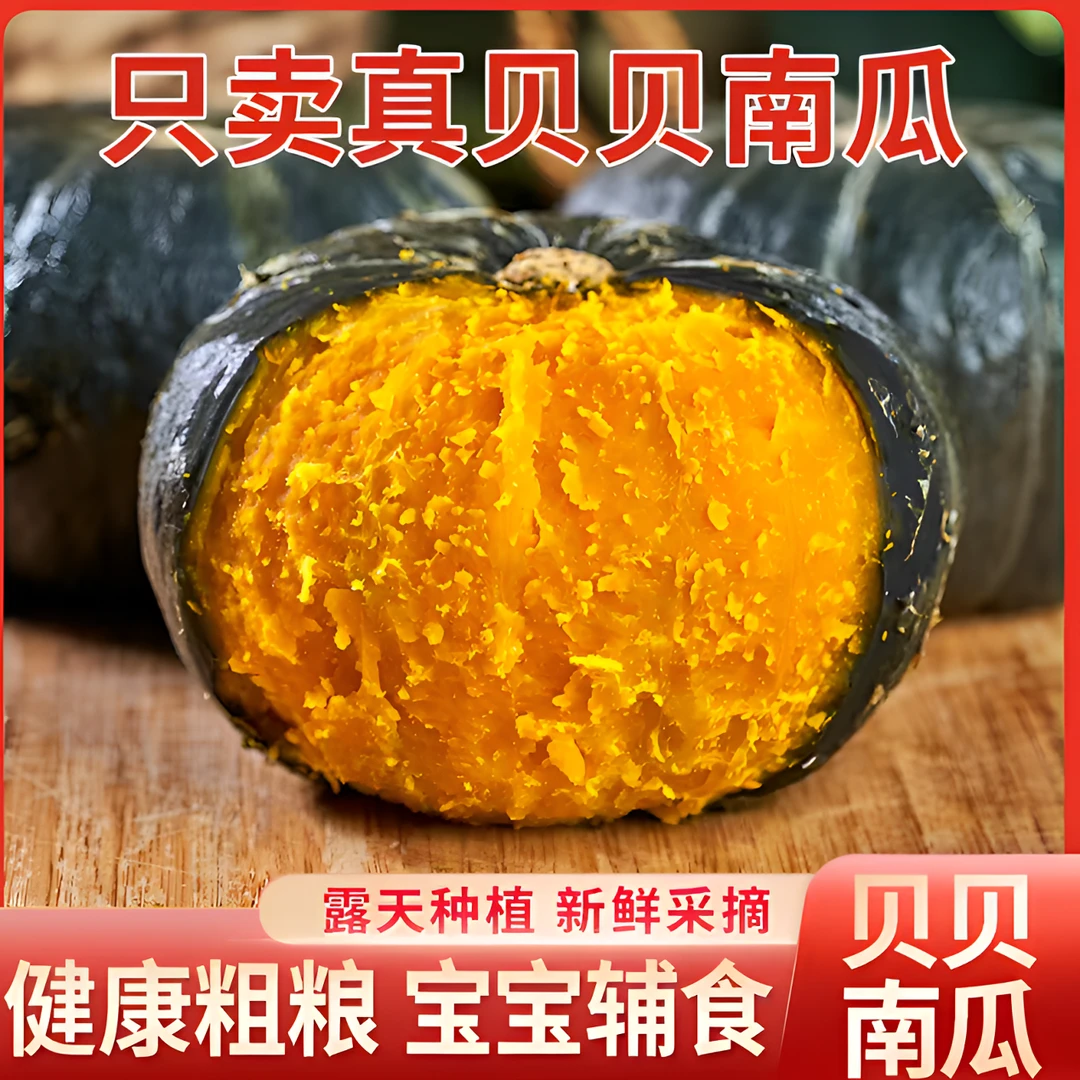 正宗内蒙沙漠贝贝南瓜婴儿辅食口感粉糯香板栗味小南瓜产地直销