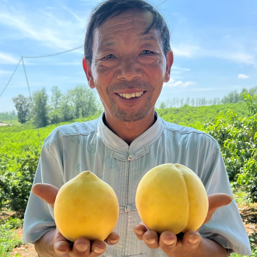 【顺丰京东】蜜桃之都山东蒙阴红心锦绣黄桃 脆软两吃 香甜可口现摘