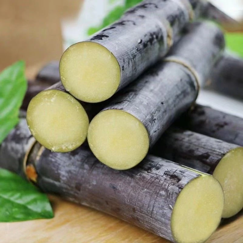 广西黑皮甘蔗新鲜清甜整根皮薄当季脆甜果蔗糖新鲜上市