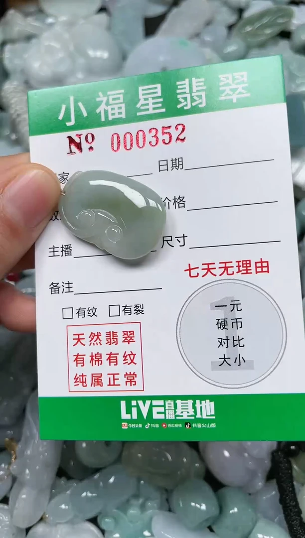 【闪购商品】翡翠颈饰未镶嵌    000352