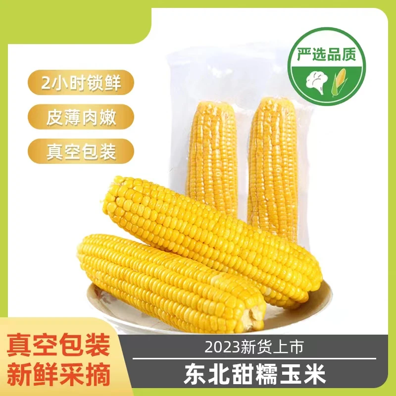 7T【拍一发十】东北黄糯玉米均重260g-300g真空包装现货现发