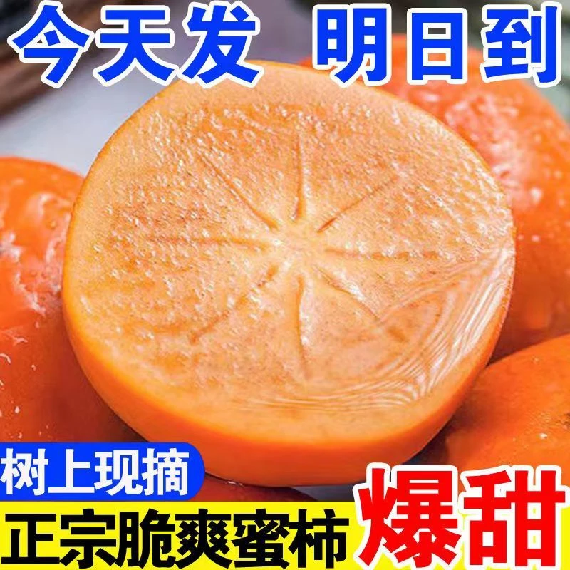 整箱新鲜巧克力脆柿子脆甜应季水果硬柿子无籽甜