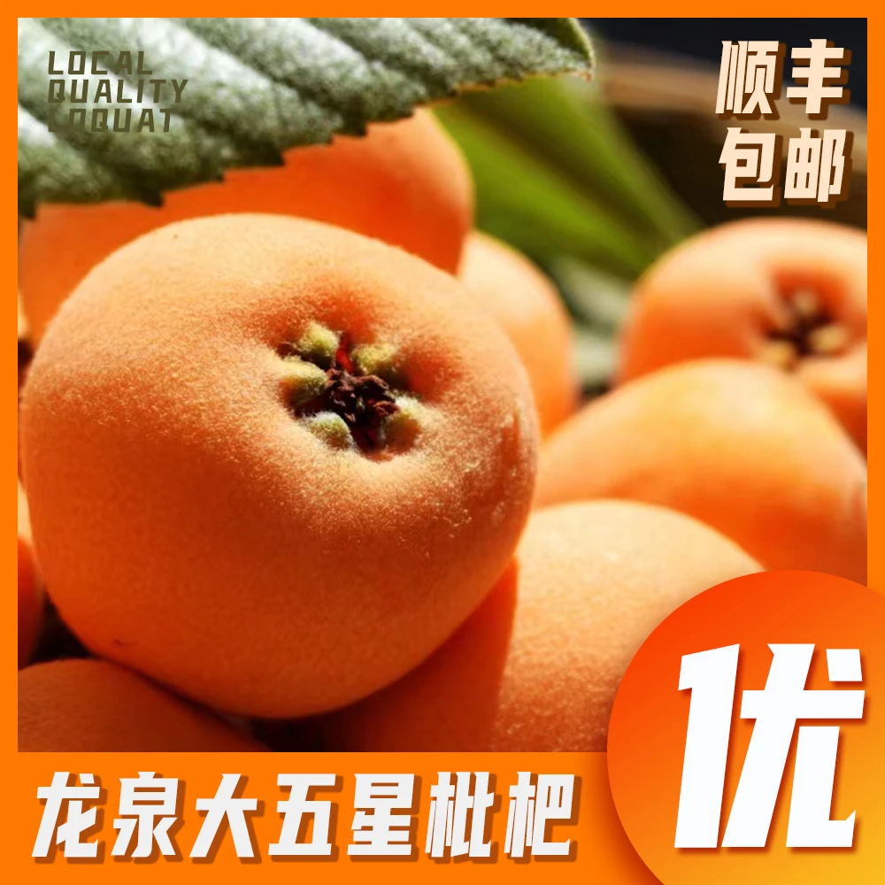 【顺丰包邮】四川龙泉五星大枇杷高山枇杷新鲜水果当季整箱产地直发