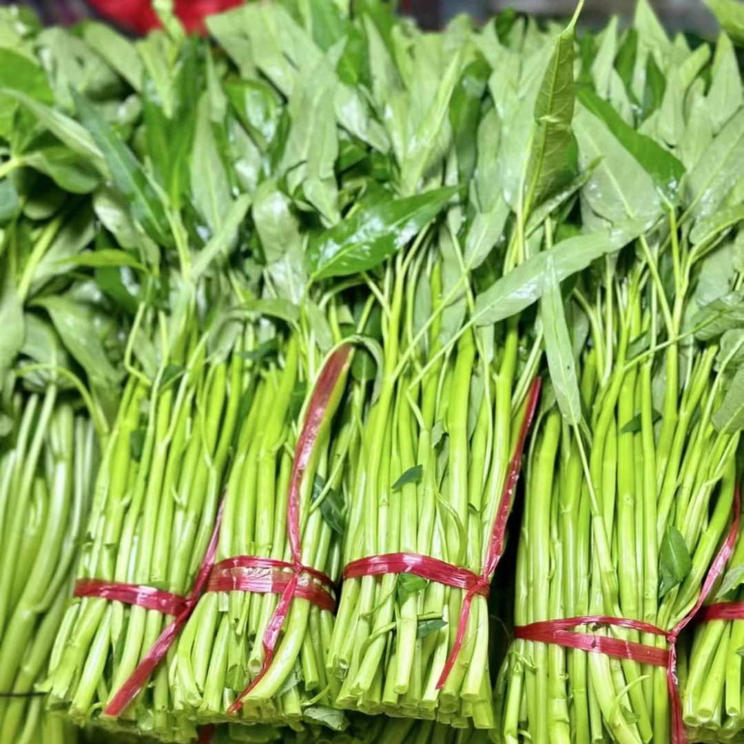 《同城闪送》 空心菜 1斤