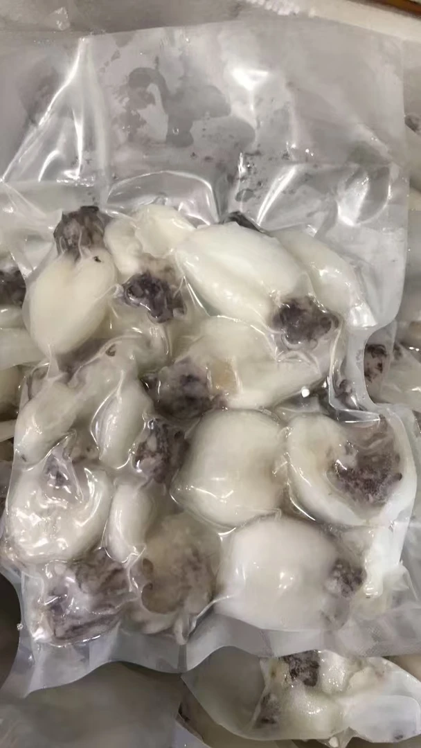 《同城配送》墨鱼仔