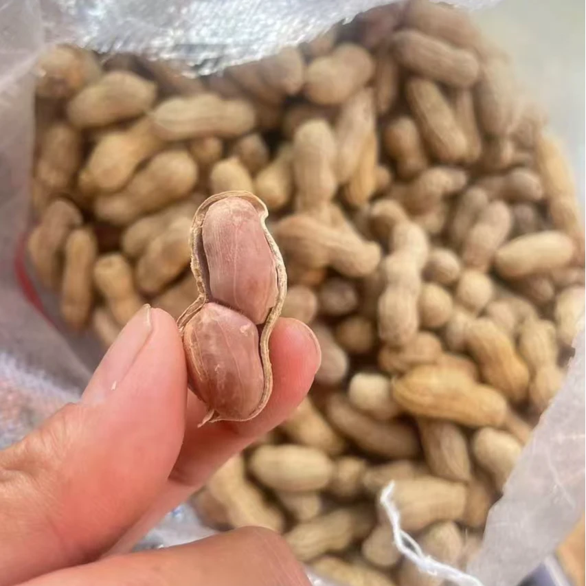 《同城配送》花生