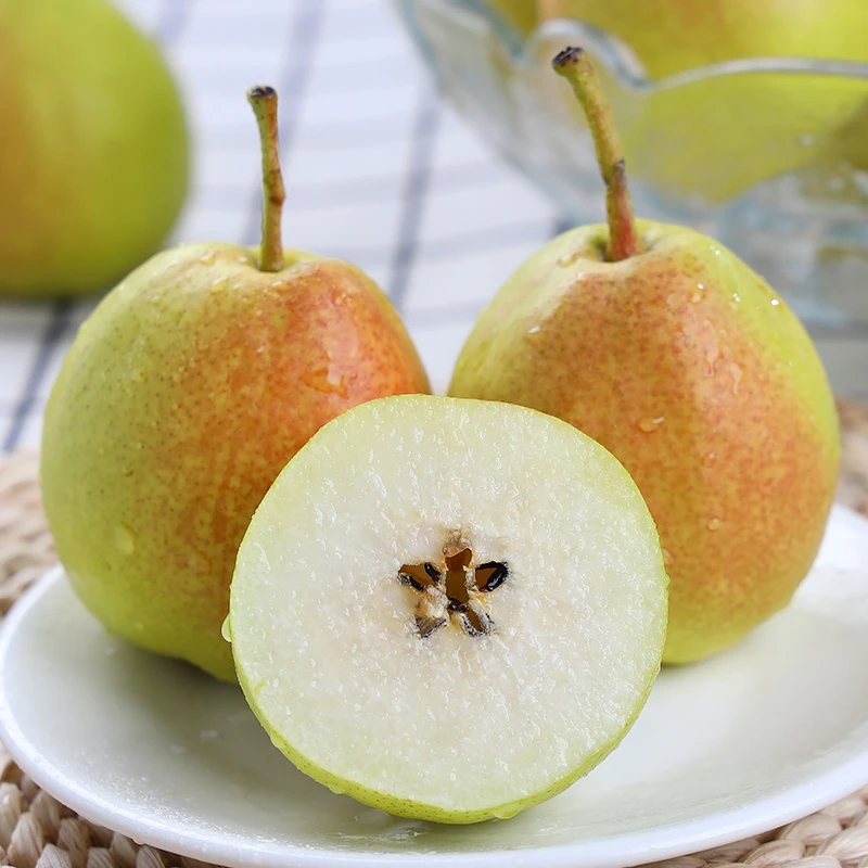新疆库尔勒香梨1.8斤装 约10个左右水果香甜脆爽皮薄多汁多仓发货