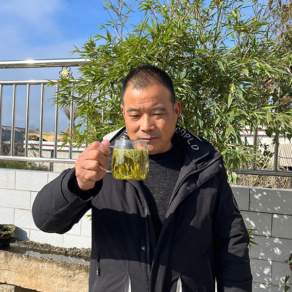 送茶2025年新茶黄芽 清香型 耐泡 袋装250g茶厂直供