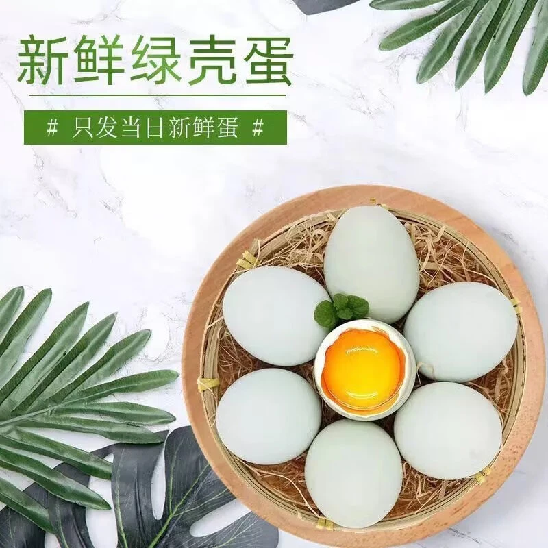 舜小鲜天然优质散养养殖绿壳土鸡蛋新鲜营养健康鸡蛋柴草蛋