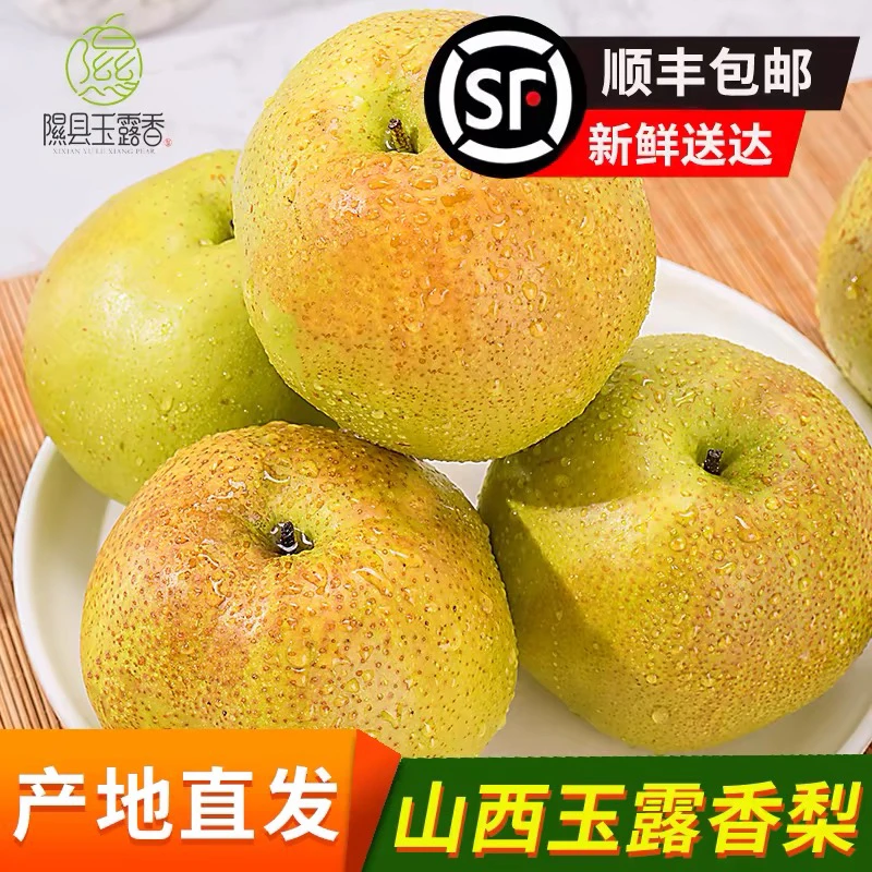 【精品】山西产地香梨正宗玉露香梨隰县水果新鲜当季礼盒