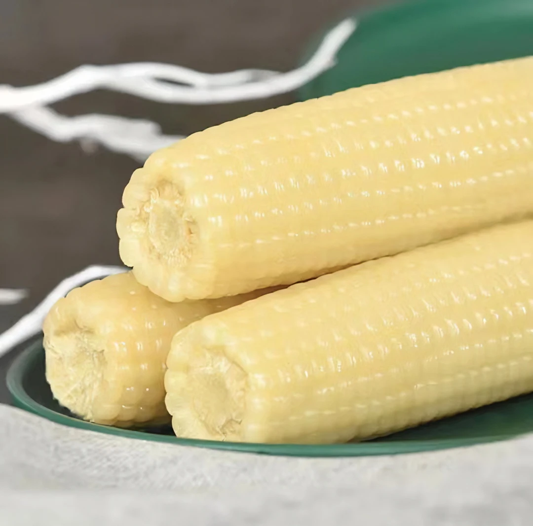 【试吃2根】东北彩带包装白糯玉米软糯香甜10支装整箱5斤真空包装-F