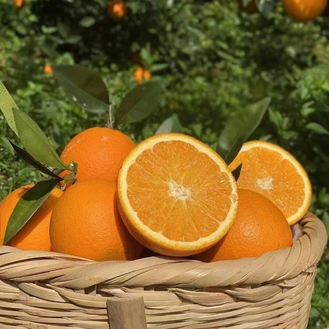 江西赣南脐橙(大果) 现摘现发 应季 特产 充足 下单 发货