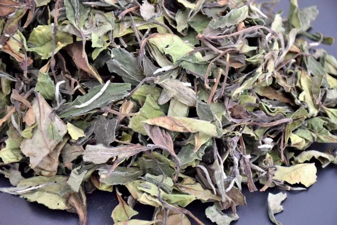 2022年福鼎白茶春寿眉散茶，一盒50g
