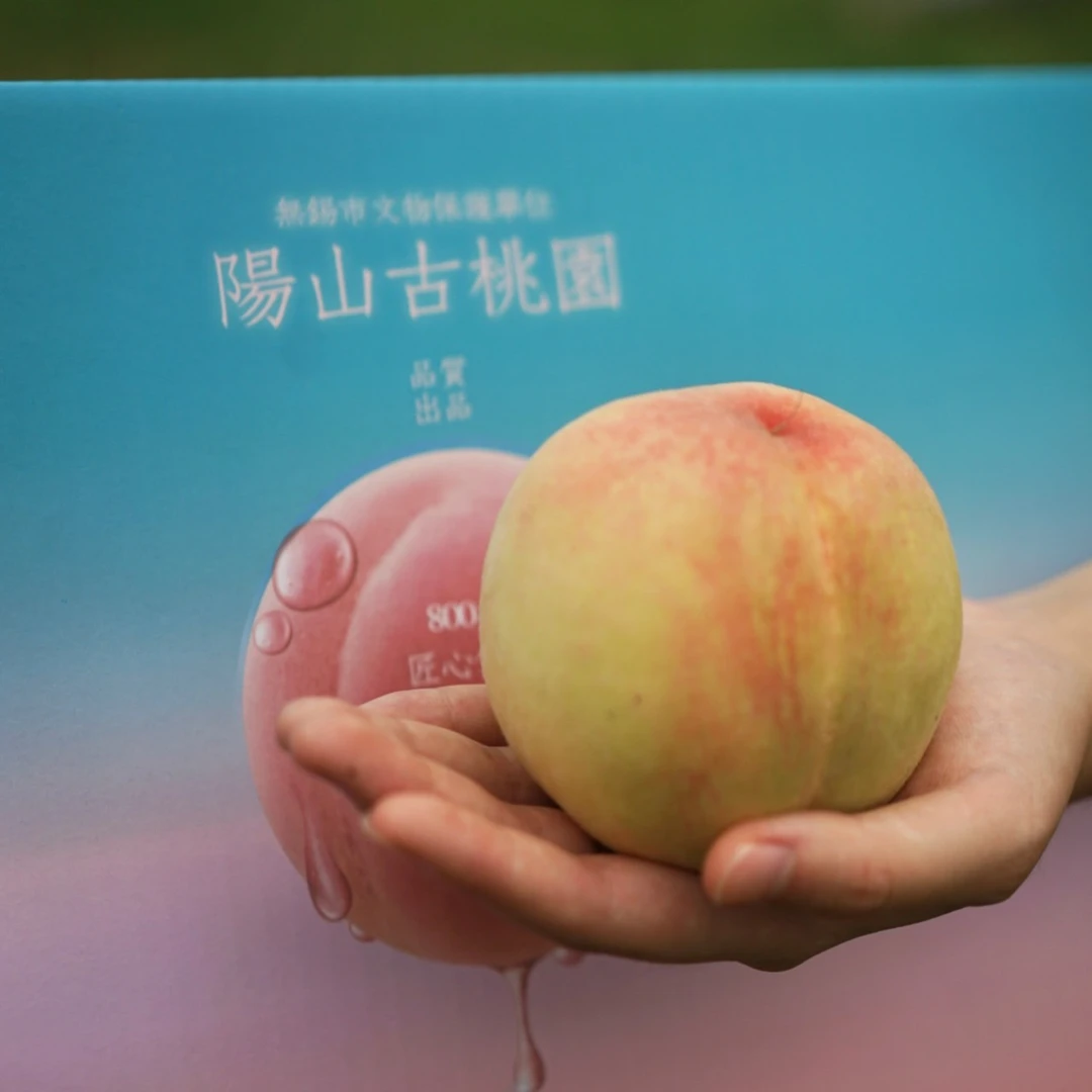 阳山水蜜桃4-5两8只装一盒装