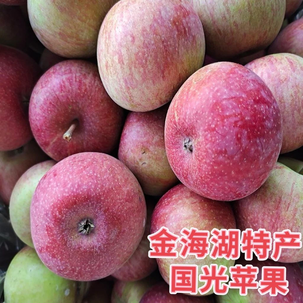 北京平谷金海湖特产国光苹果酸甜爽口老树国光孕妇水果