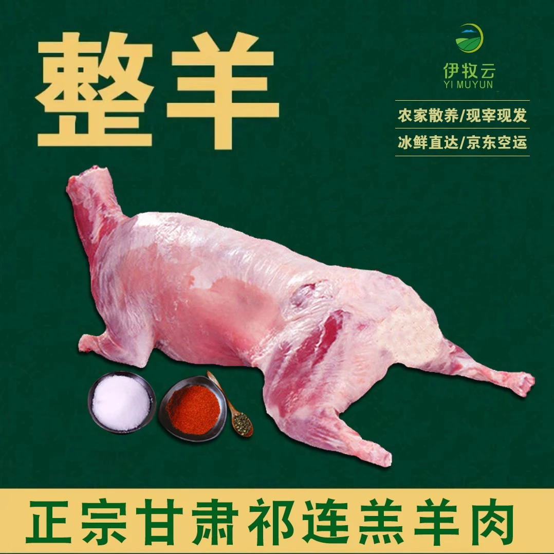 甘肃祁连山草原农家散养羊肉/ 整只羊 /3-6月新生鲜羊羔肉/包邮