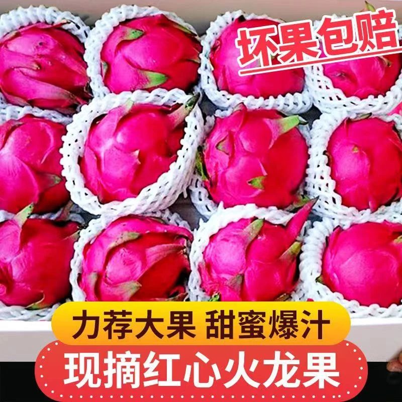 【不甜包赔】整箱5斤 红心火龙果金都一号6-10个装原产地