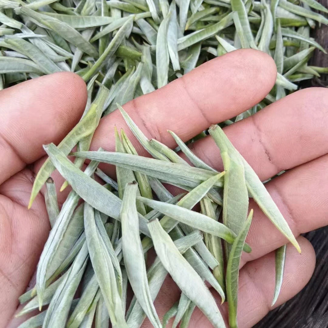 春季花香手工云南白毫银针珍藏云南白茶散茶盒装