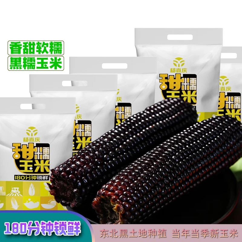 2023年东北新鲜采摘黑糯拉丝甜玉米拍8送2共10支200-260g礼袋