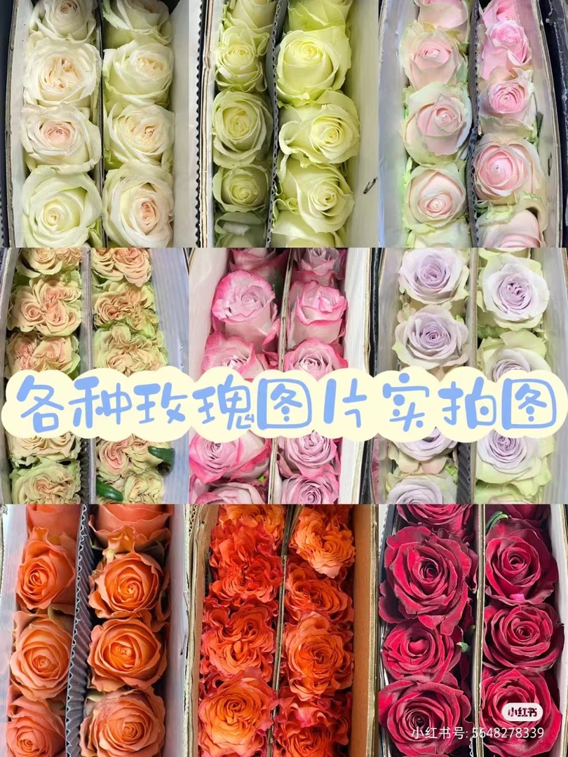 【鲜花在这】一单中 通.两单顺 丰云南鲜花 【坏2枝不售后冻伤不售后