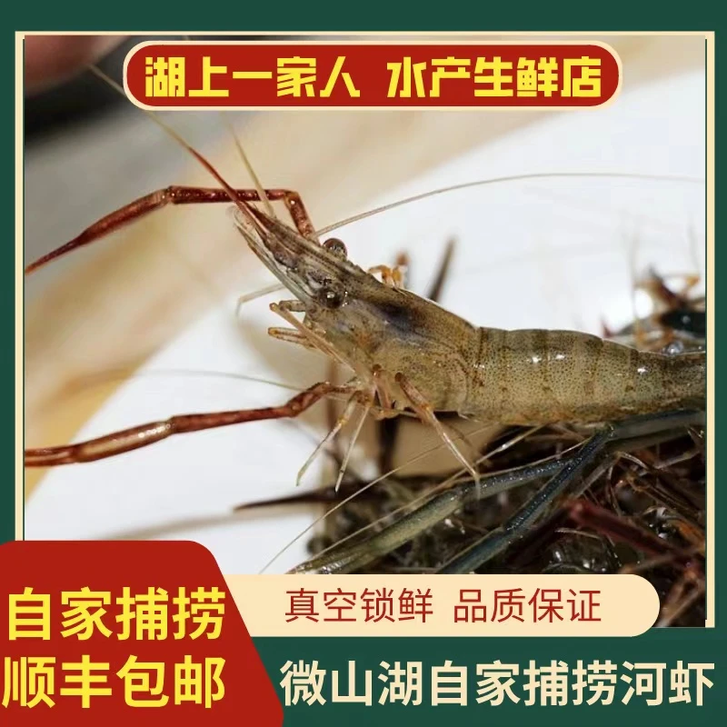 湖上一家人微山湖自家捕捞河虾湖虾当天捕捞顺丰冷链新鲜营养生态